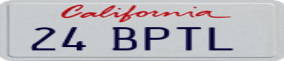 Truck License Plate
